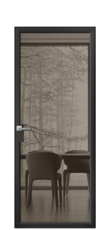 Дверь межкомнатная Frame 01 Цвет Черный Покрытие Алюминий  Наличник Скрытый короб Цена 79110