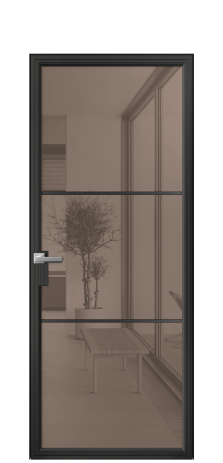 Дверь межкомнатная Frame 03 Цвет Черный Покрытие Алюминий  Наличник Скрытый короб Цена 81920