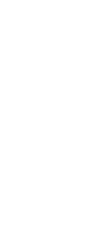 Плэйн 1